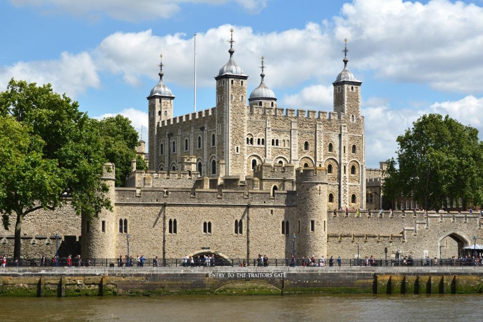 Staff became worried that some of the seven-strong flock started venturing outside castle walls to forage during lockdownShutterstock