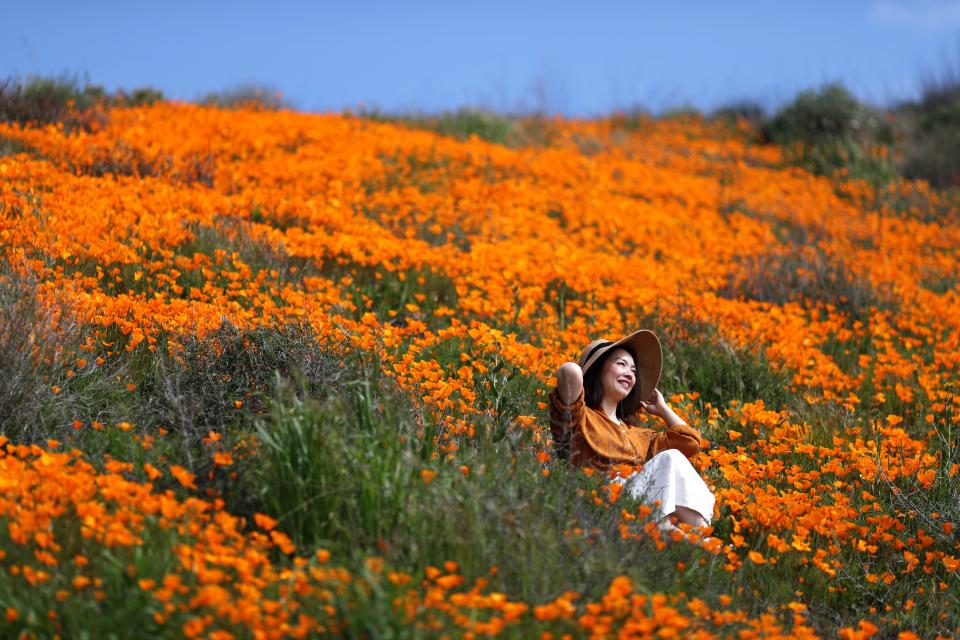 reuters environmental photos of the year 2019