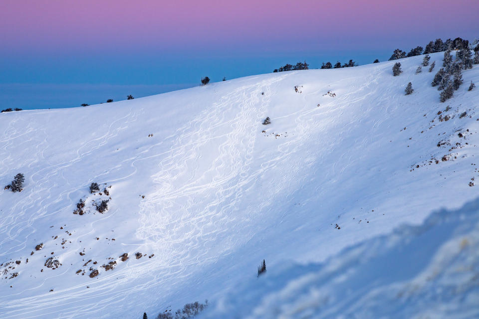 Terrain at Utah’s Powder Mountain resort.