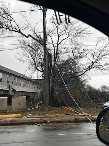 Storm damage along Preachers Mill Road in Clarksville (Courtesy: Jessica Downs)