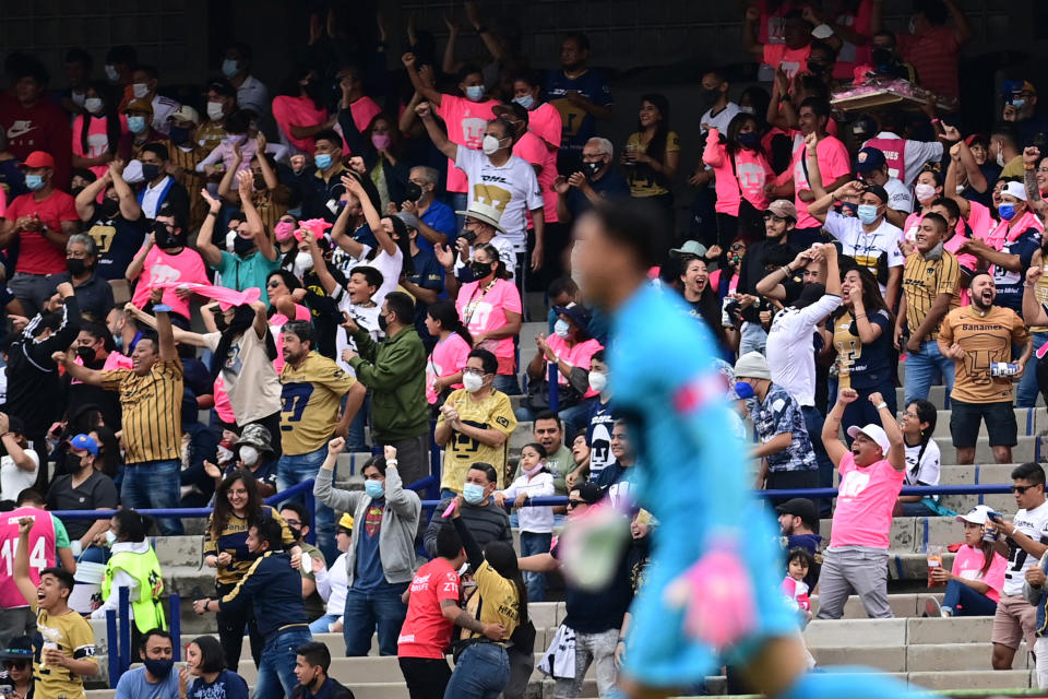 Pumas de la UNAM arrastra una sequía de 11 años sin poder levantar un títutlo del futbol mexicano (Foto: PEDRO PARDO/ Getty Images)