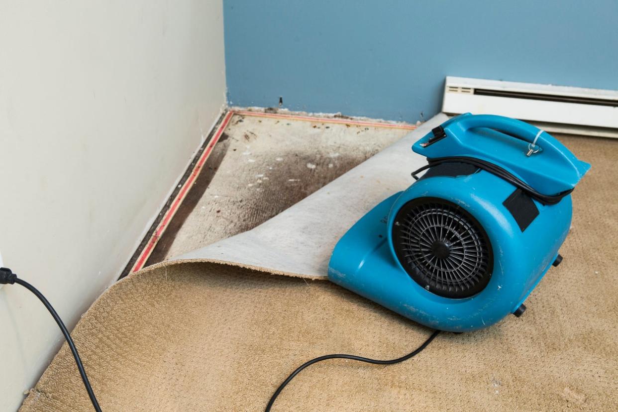 Signs of Water Damage Under the Floor