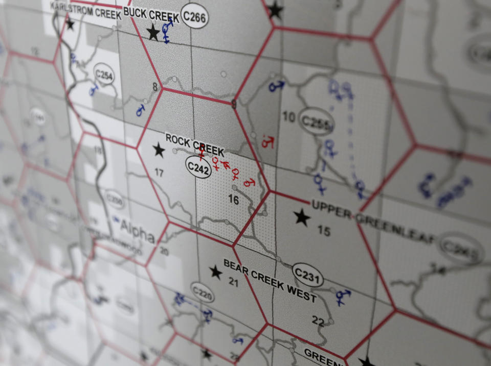 In this Oct. 23, 2018 photo, marks identify the locations of declining northern spotted owls and the aggressive barred owls that are taking over their territory, seen on a map in a nearby lab in Corvallis, Ore. In almost all ways, the barred owl is the spotted owl’s worst enemy: They reproduce more often, have more babies per year and eat the same prey, like squirrels and wood rats. And they now outnumber spotted owls in many areas of the native bird’s historic range. (AP Photo/Ted S. Warren)