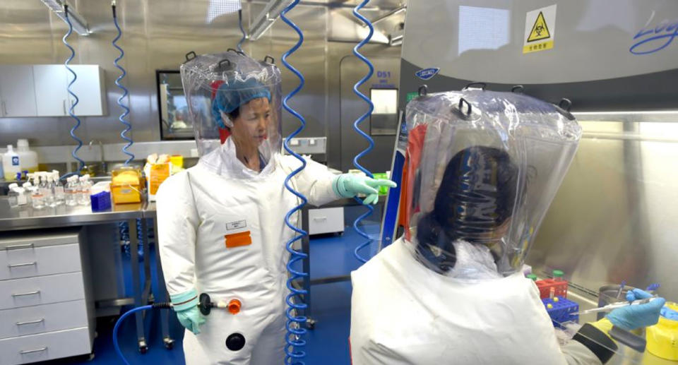 Shi Zhengli at work at the Wuhan Institute of Virology. Source: AP