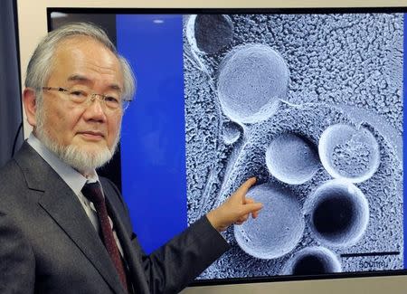 Yoshinori Ohsumi, a professor of Tokyo Institute of Technology is pictured in Tokyo, Japan, March 25, 2015 in this photo released by Kyodo. Kyodo/via REUTERS