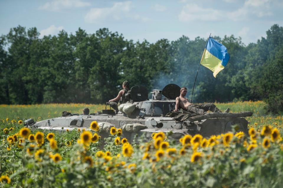 Ukrainian troops in a field with sunflowers in Kryva Luka, eastern Ukraine (AP)