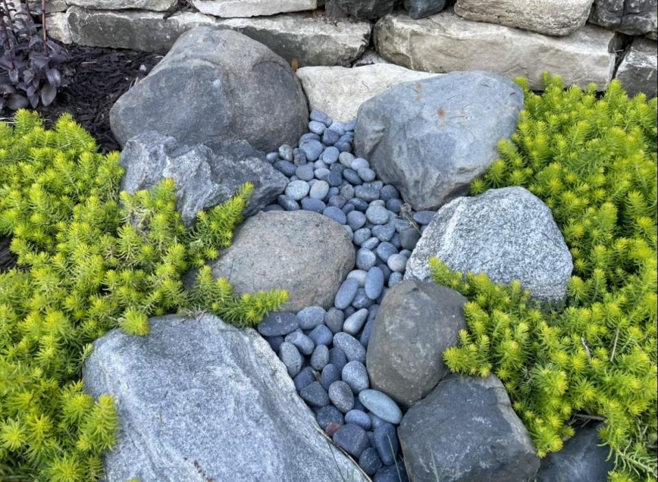 Angelina sedum accents a garden bed with gray Wisconsin field stone and smooth river pebbles.