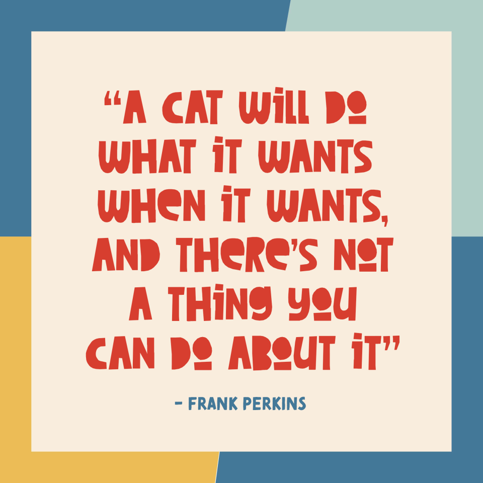 A cat will do want it wants when it wants and there is nothing you can do about it quote