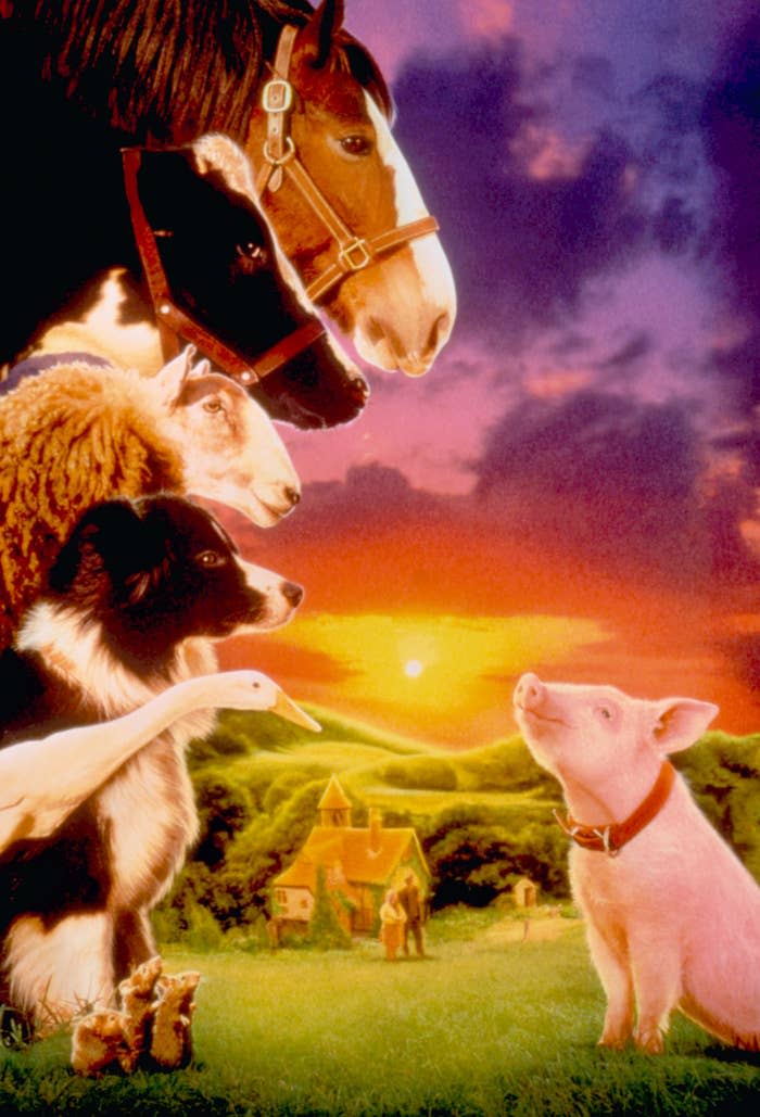 Babe was an Academy Award–nominated film — written by George Miller and directed by Chris Noonan — that was adapted from the Dick King-Smith 1983 novel The Sheep-Pig