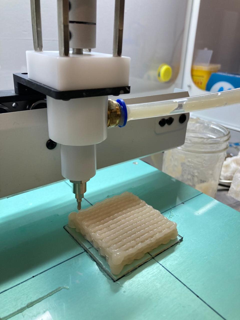 A three-dimensional (3D) printer at the University of BC creates layers of a hydrogel solution infused with reishi mushroom mycelium, a network of thin strands known as hyphae that are equivalent to the roots of fungi.