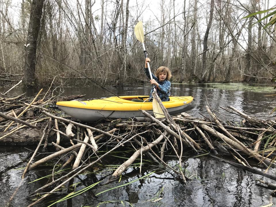 Parker W. Gibbons (age 14) examines one of the most obvious kinds of spoor: a beaver dam.