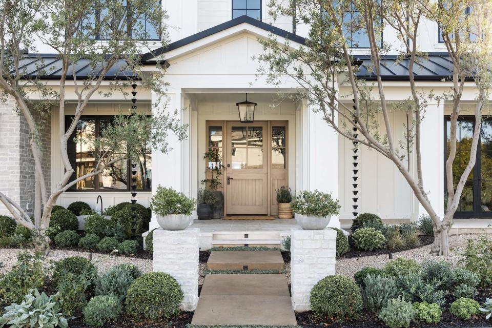 front garden with evergreen shrubs