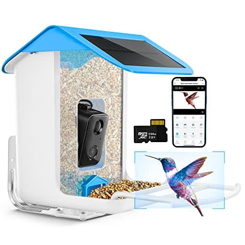 Take Glamor Shots of Hummingbirds With the New Bird Buddy Feeder