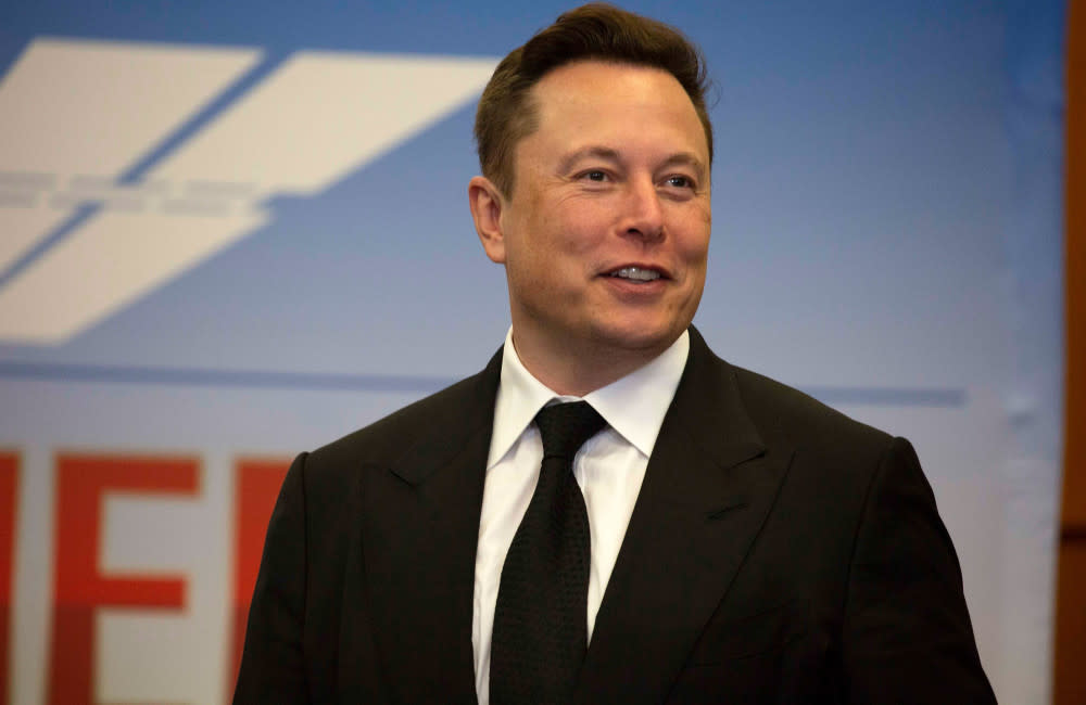 Elon Musk is said to have had a brief affair with the estranged wife of Sergey Brin credit:Bang Showbiz