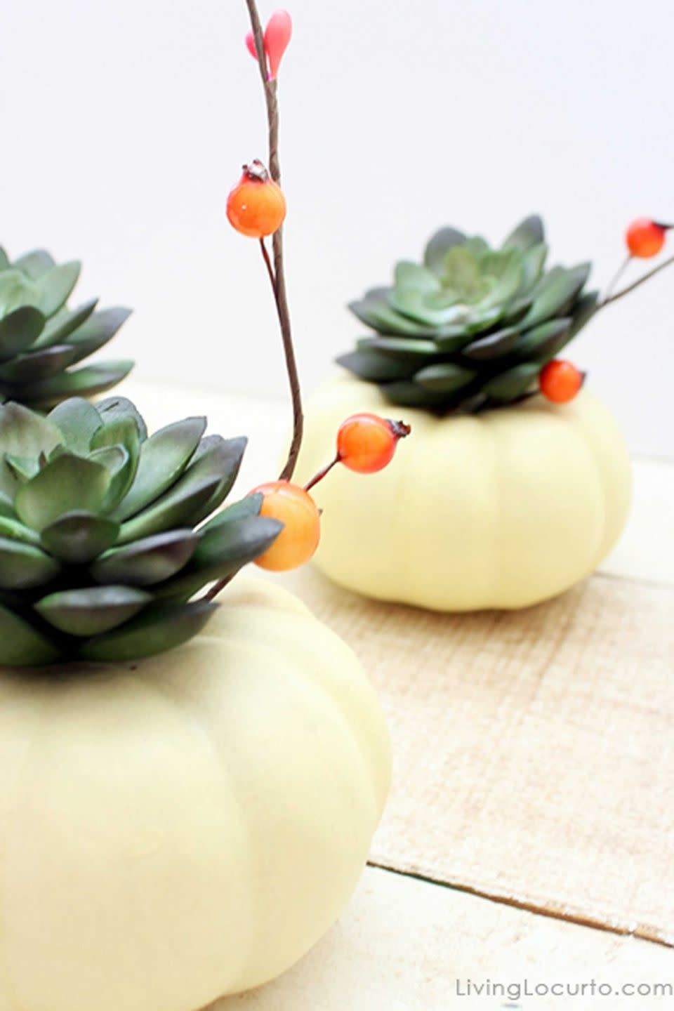 Simple Succulent Thanksgiving Centerpiece