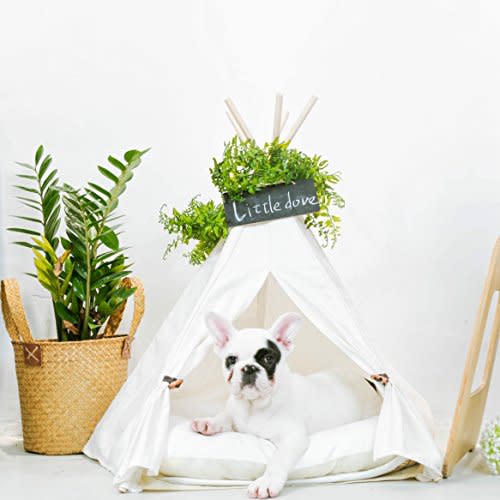 Pet Teepee Bed (Amazon / Amazon)