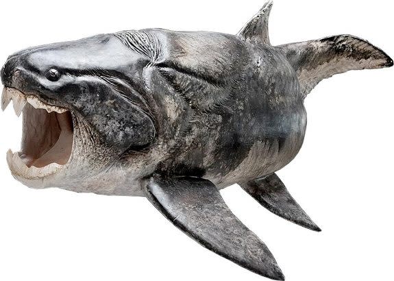 The armored fish <em>Compagopiscis</em>, which researchers have discovered sported teeth, would have looked something like the closely related species <em>Dunkleosteus</em> (shown here in a reconstruction) that also had the same kind of teeth.