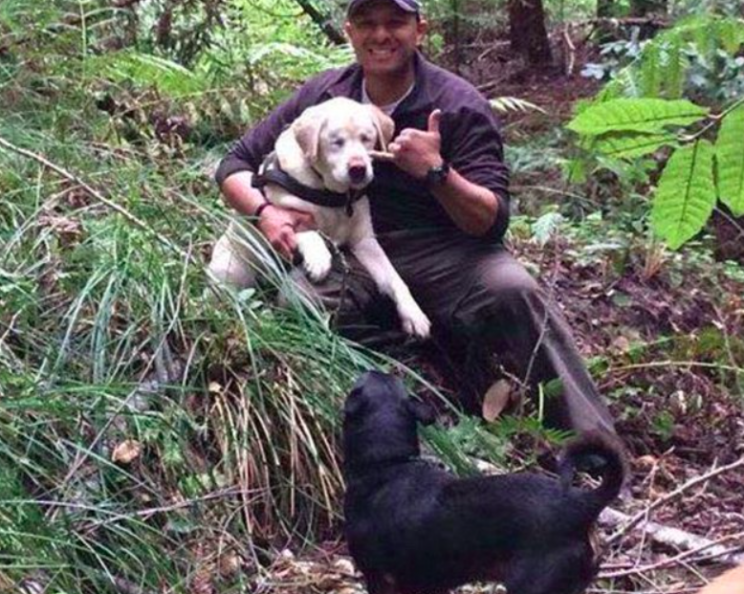 The elderly dog was reunited with her overjoyed family after going missing for a week (Facebook)