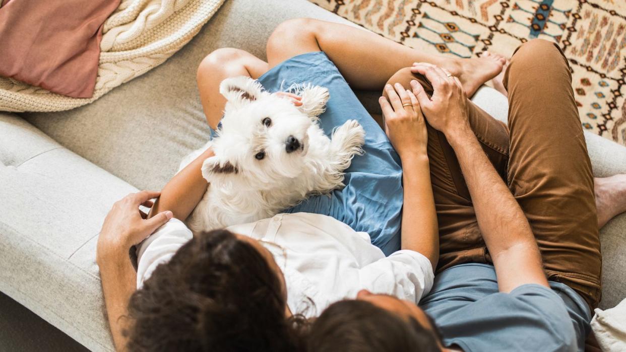 couple and dog on a couch