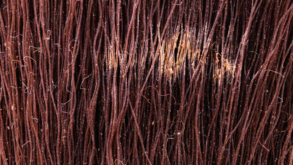 macro image of blusher brush