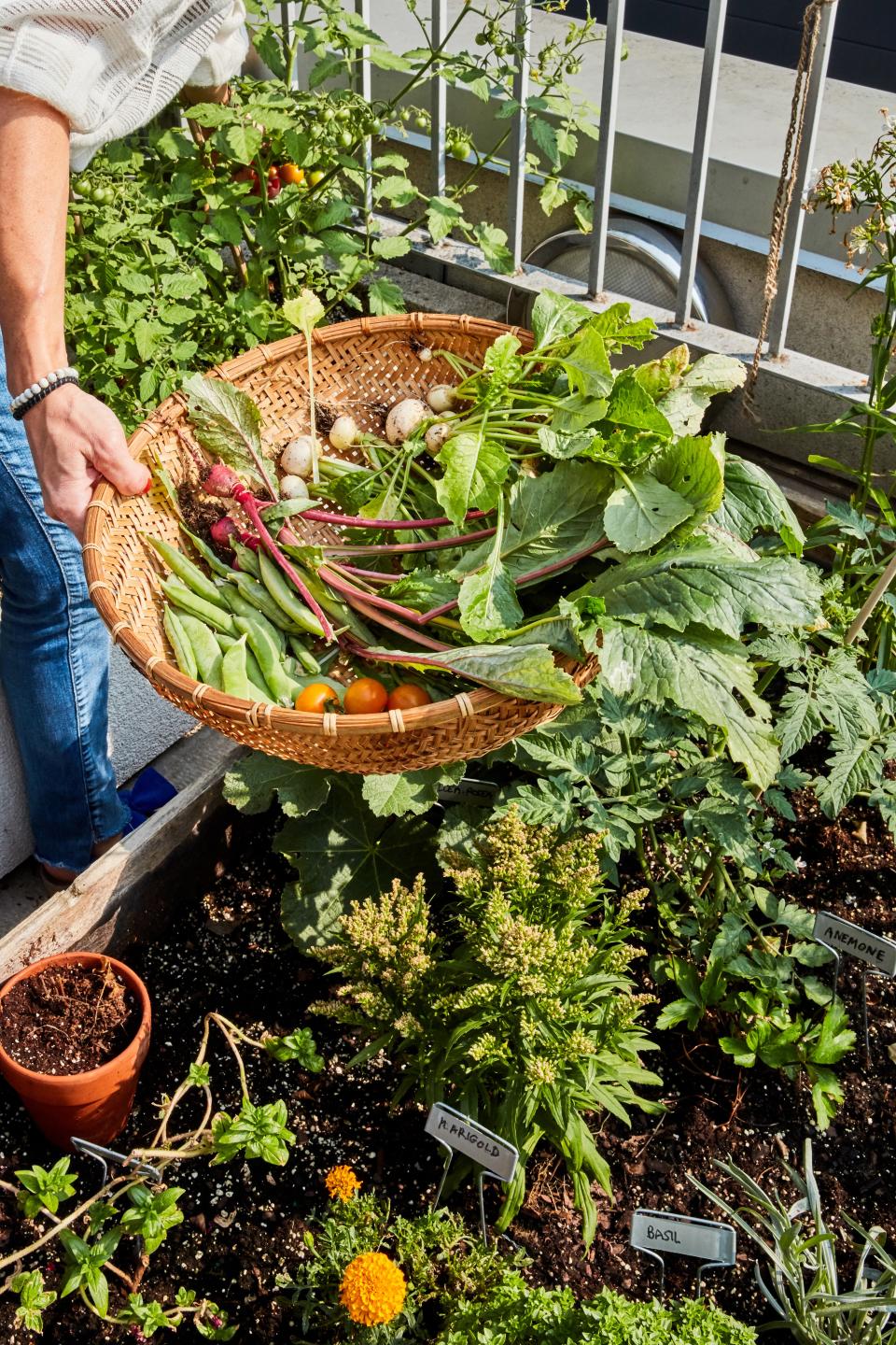 Danielle Chang's rooftop garden is basically an urban Garden of Eden.