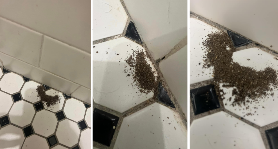 Three pictures showing piles of dirt from ants on the bathroom floor.