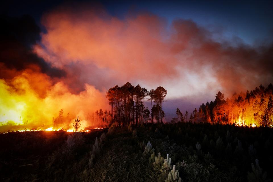 A photo shows a forest fire in Louchats, south-western France, on July 17, 2022. (Photo by THIBAUD MORITZ / AFP) (Photo by THIBAUD MORITZ/AFP via Getty Images)