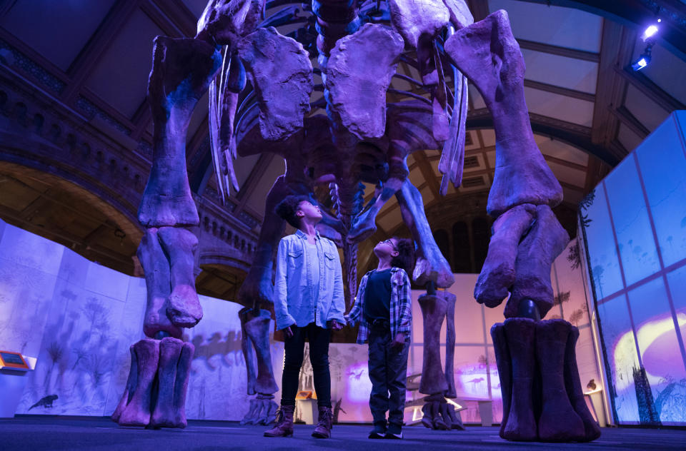 Visitors can get up close to the Patagotitan mayorum. (Trustees of the Natural History Museum, London)