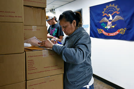 Sherri Two Horses fills out an absentee ballot for the 2018 mid-term election at the Sioux County Court House on the Standing Rock Reservation in Fort Yates, North Dakota, U.S. October 26, 2018. REUTERS/Dan Koeck