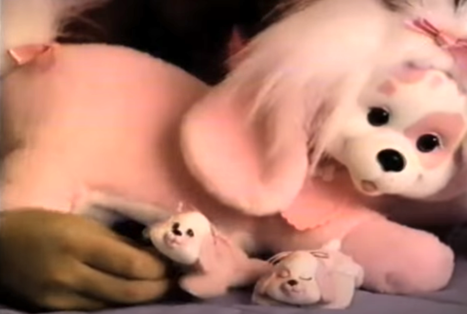 toy dog that has puppies