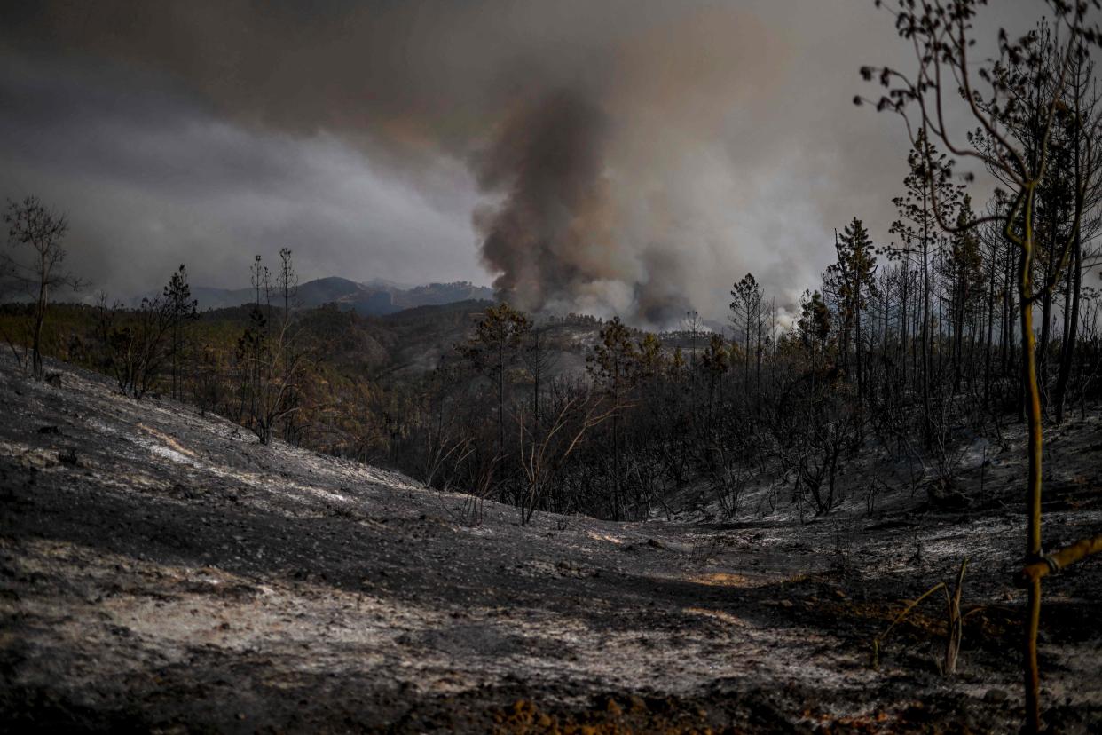 Columns of smoke rise from wildfire in Odeceixe (AFP via Getty Images)