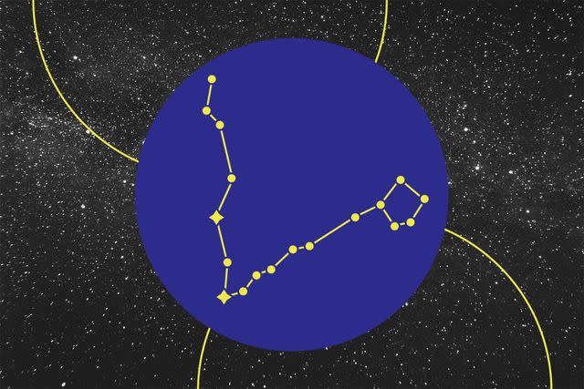 Zodiac constellation Pisces