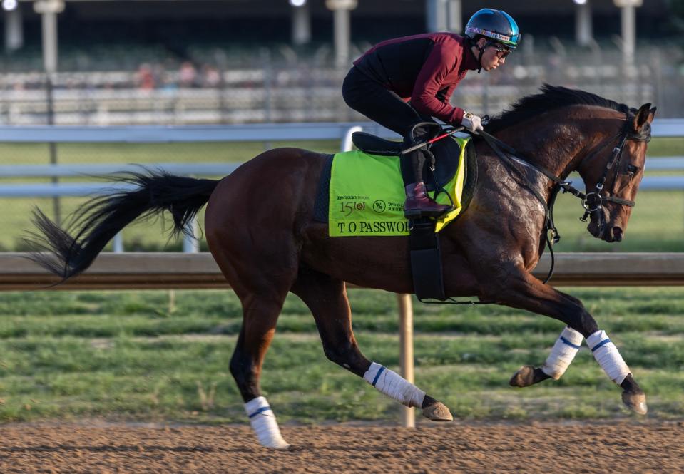 Kentucky Derby entry, T O Password, gallops during a morning workouts at Churchill Downs. Pat McDonogh, Special to the Courier April 29, 2024