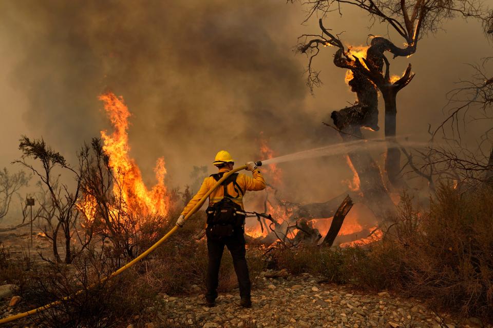 Jesse Vasquez of the San Bernardino County Fire Department hoses down hot spots at the Bobcat Fire on Saturday in Valyermo, Calif.