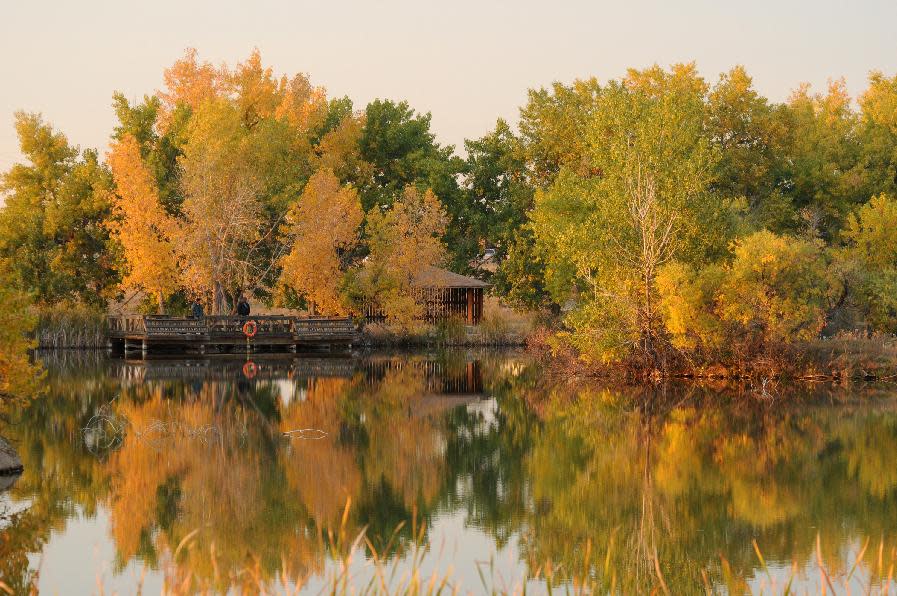 This undated photo supplied by the U.S. Fish and Wildlife Service shows fall color at a lake in Rocky Mountain Arsenal Wildlife Refuge in Commerce City, Colo. The park, which opens a do-it-yourself nine-mile Wildlife Drive Oct. 13, is located just outside of Denver. (AP Photo/Rick Keen/DPRA)