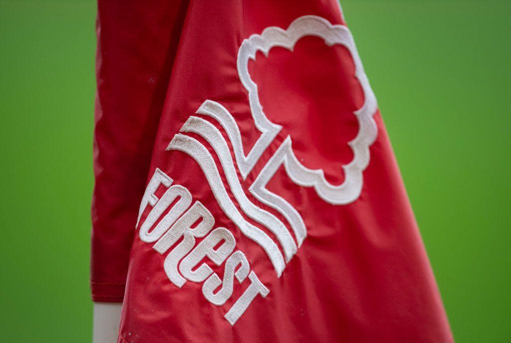 Nottingham Forest badge on a flag