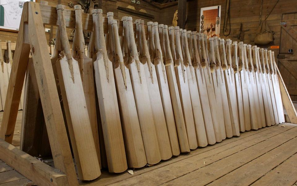 Cricket bats