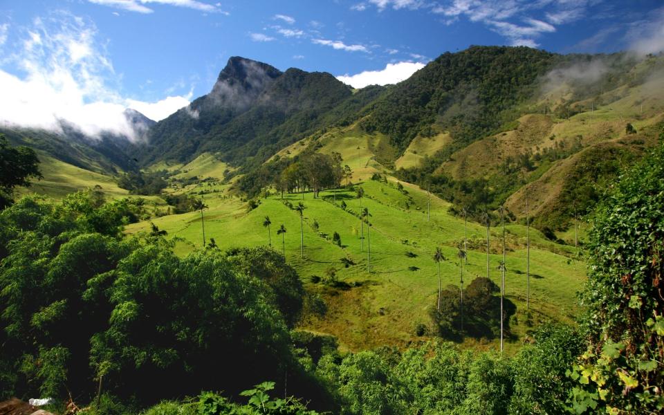 Colombia - Getty