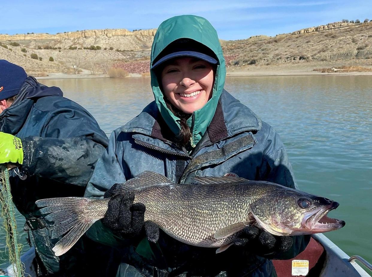 Jordan Cruz, an interpretive naturalist intern for Colorado Parks and Wildlife, holds a large walleye caught at Lake Pueblo as part of CPW’s annual walleye spawning operation.