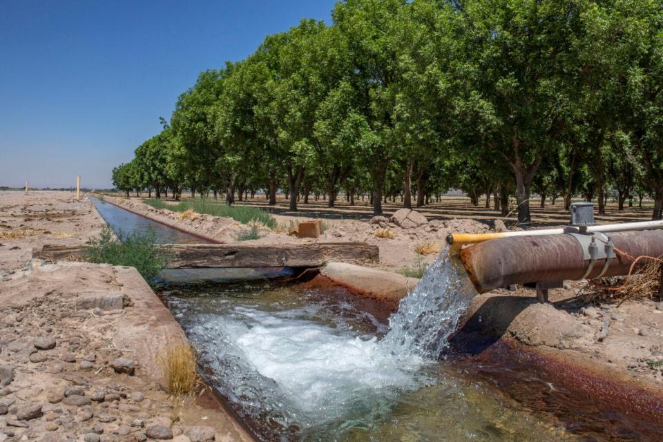 Groundwater wells fill an irrigation ditch for pecan orchards outside of Rincon, New Mexico. Regional farmers face higher salt levels, which can shrink the size of pecan nuts, kill trees and destroy soil health. Pecans are a key crop in El Paso County, which is being impacted by dual threats of less available water below and above ground, and degraded quality.