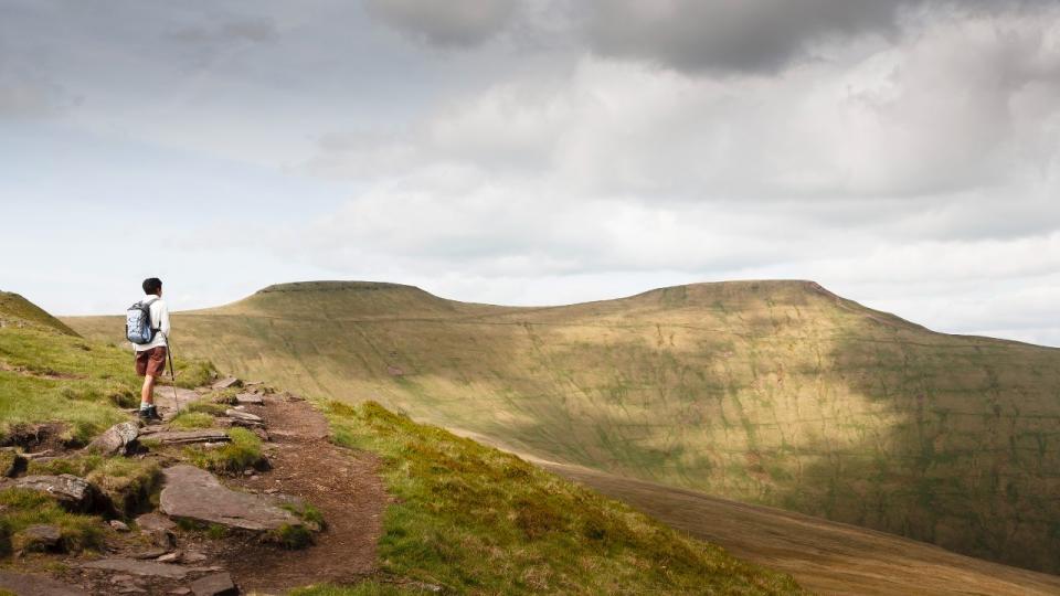 Woman hiking alone in Welsh hills, looking towards Pen Y Fan, Brecon Beacons, Wales, UK