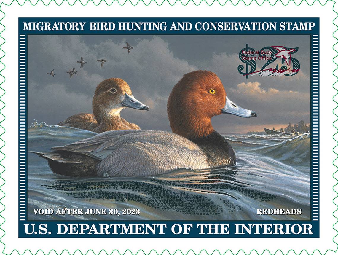2022-2023 Federal Duck Stamp, featuring a pair of redheads painted by Minnesota artist James Hautman.
