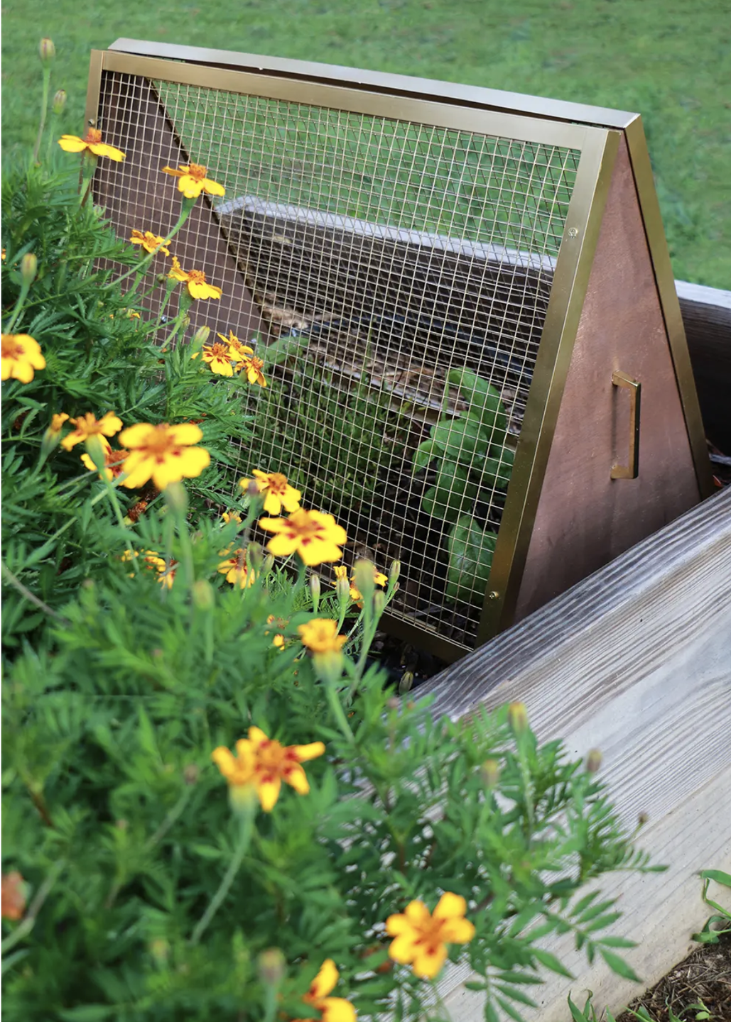 animal proof cover on a raised garden bed