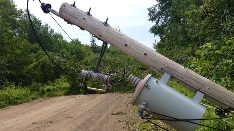 Nova Scotia Power and Halifax tussle over tree-trimming cost, method