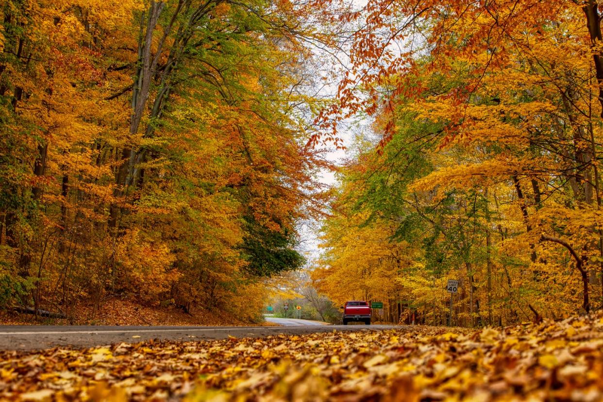 This Spot Will Have the Best Fall Foliage in 2024, According to