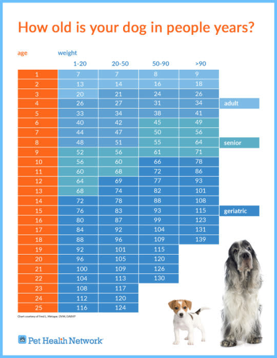 Cat years and sales dog years