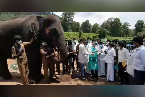 Kozhikamuthi Elephant Camp TopSlip
