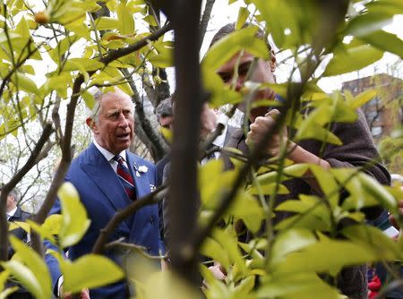 Britain's Prince Charles tours the Halifax Public Gardens in Halifax, Nova Scotia, in this file photograph dated May 19, 2014. B REUTERS/Mark Blinch/files