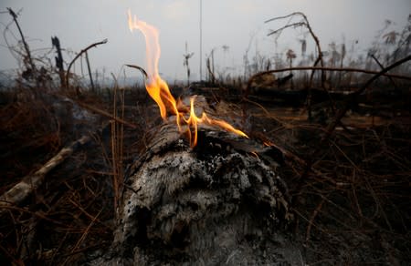 FILE PHOTO: A tract of Amazon jungle is seen after a fire in Boca do Acre