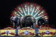 <p>Ringling Bros. and Barnum & Bailey Circus’ Asian elephants Asia, 43, left, Tonka, 27, and Luna, 27, are presented with soft pretzels in Philadelphia, Friday, Feb. 18, 2011. The circus is scheduled to be in town until Feb. 20. (AP Photo/Matt Rourke) </p>